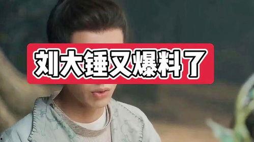 大锤爆料最新消息视频,揭秘视频背后的惊人真相  第2张